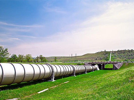 江南体育官网企业风采五